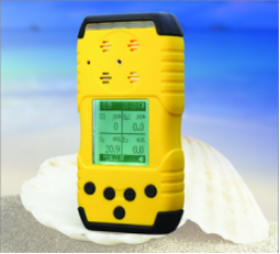 JG3001-H2s 便攜式硫化氫檢測(cè)儀